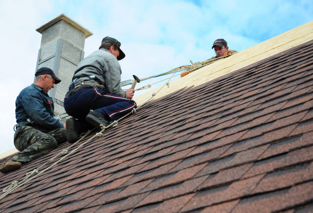 Quick and Trustworthy Emergency Roof Repair Services in Boyd, TX
